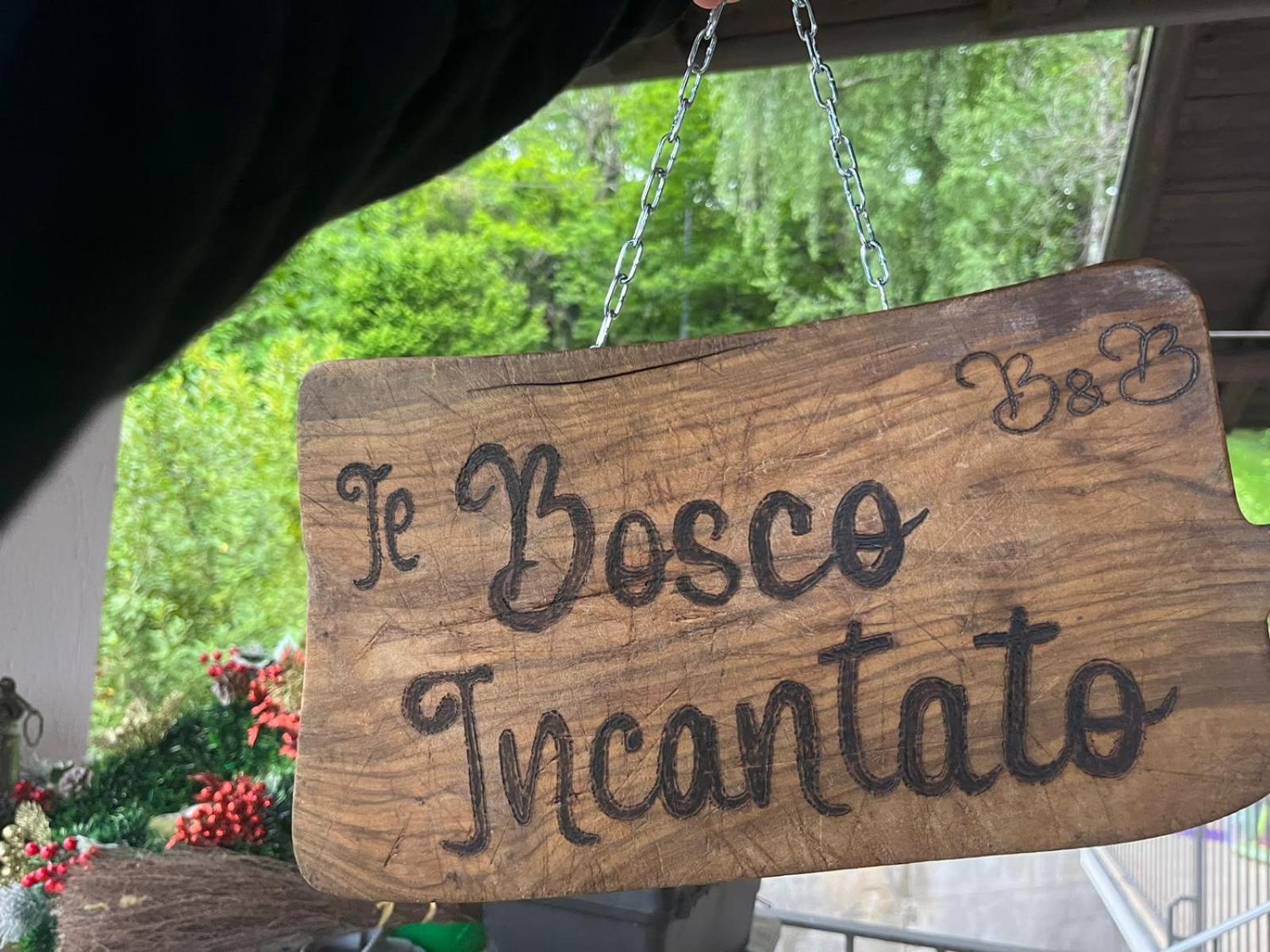 Il Bosco Incantato 圣达尔马佐镇 外观 照片